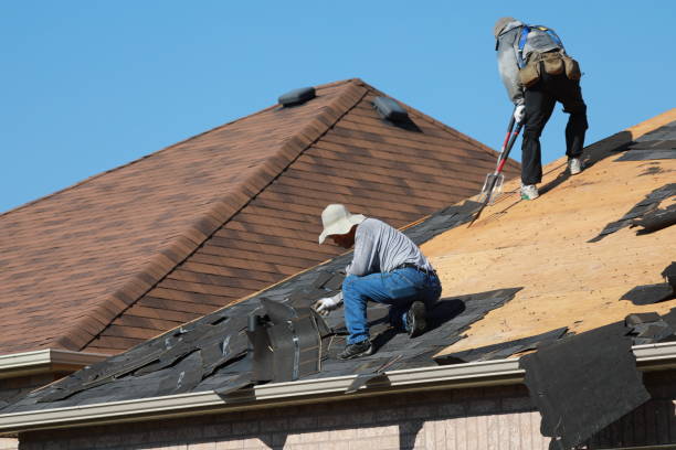 Best Asphalt Shingle Roofing  in Prices Fork, VA