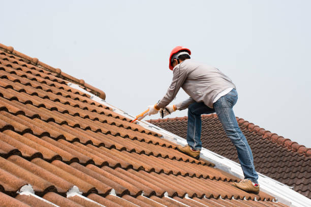 Best Roof Maintenance and Cleaning  in Prices Fork, VA